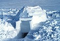 El iglú Es un refugio construido con bloques de nieve.