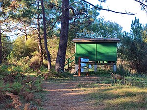 A Illa De Arousa: Poboación, Xeografía, Historia