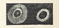 Image taken from page 292 of 'The Half Hour Library of Travel, Nature and Science for young readers' (11139620636).jpg