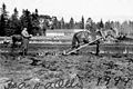 Fieldwork in 1944, just before the Continuation War