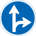 Straight ahead or right turn permitted