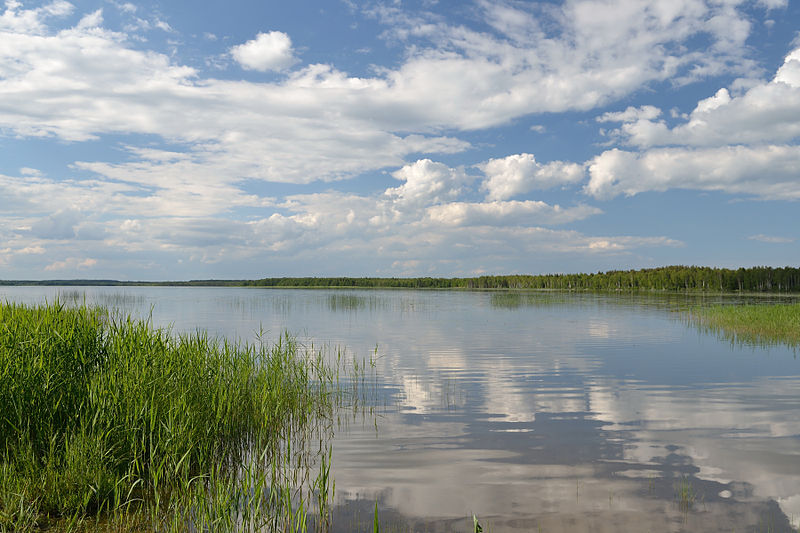 File:Kaiavere järv.JPG