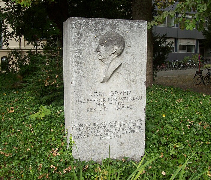 File:Karl-Gayer-Denkmal.jpg