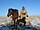 Kazakh shepard with dogs and horse.jpg