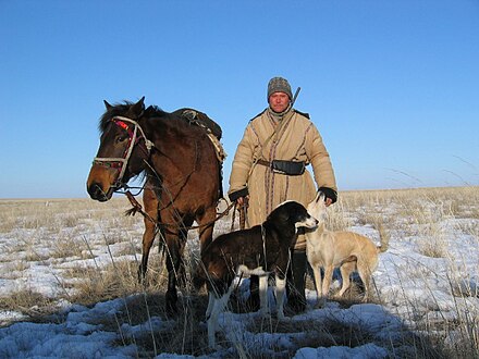Kazakh shepherd man – his horse and dogs' primary job is to guard the sheep from predators