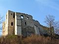 English: The castle Polski: Zamek