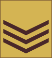 Sergeant (Kenya Army)[49]