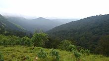 Kodachadri hills seen from the top of the mountain near to Inspector bungalow