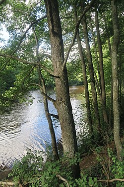 Kuivajärveä Saarensalmessa Saaren sillan luona