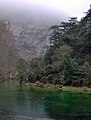 La Sorgue shrouded in fog.