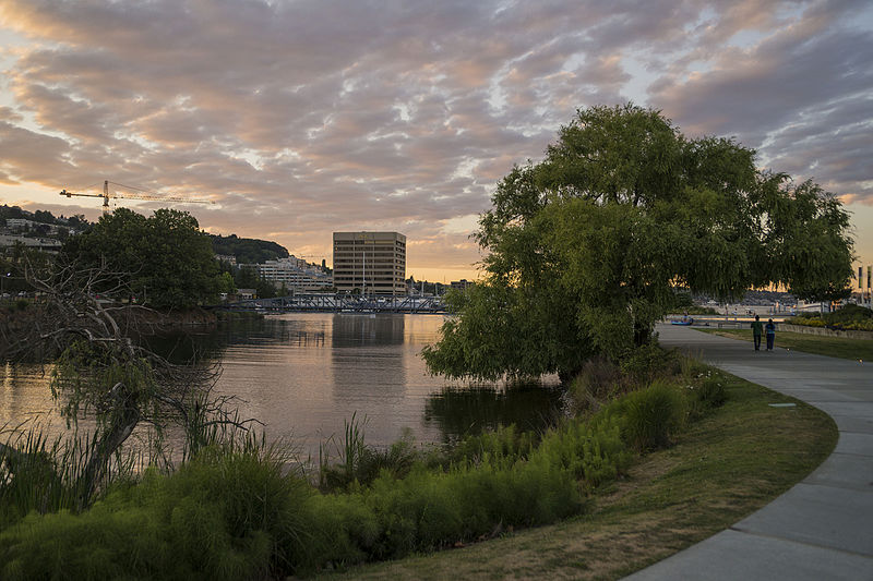 File:Lake Union Park (19569751209).jpg