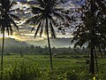 Landscape Meru Betiri NP - East JavaIMG 3111 (30098829576).jpg