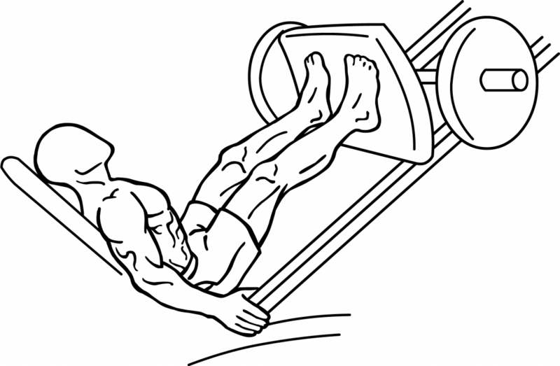 File:Leg-press-1-1024x670.png