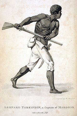 <span class="mw-page-title-main">Maroons</span> African refugees who escaped from slavery in the Americas, and their descendants