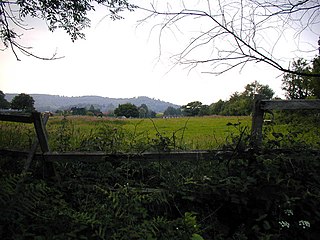 <span class="mw-page-title-main">Wheatham Hill</span> Hill in Hampshire, England