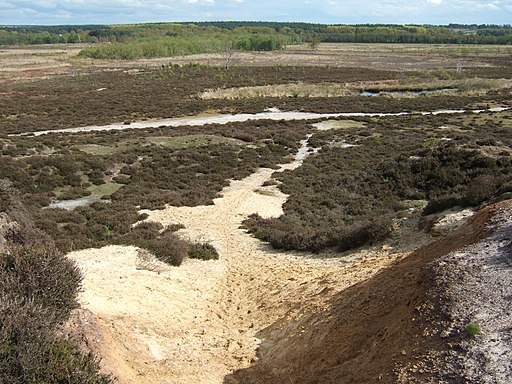 Looking down a sand hill on Roydon Common - geograph.org.uk - 1854997