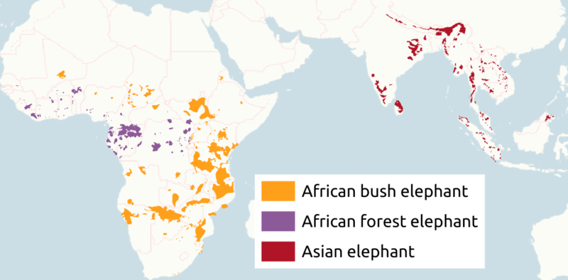 File:Loxodonta Elephas distribution.png