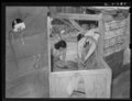Mexican woman washing clothes in back of house. San Antonio, Texas LCCN2017782531.tif