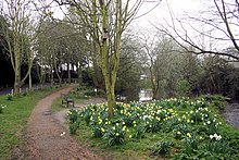 Village pond