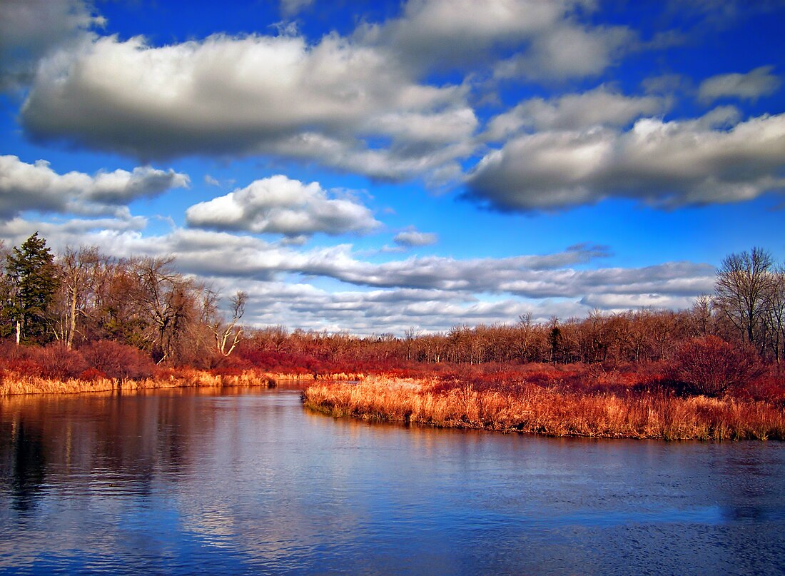 File:Mill Pond, Monroe County.jpg