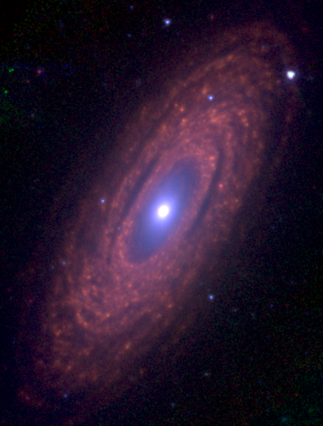 NGC 2841