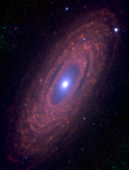 NGC_2841