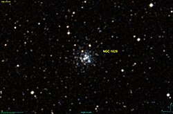 NGC 1629
