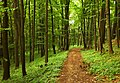 English: National natural monument "Babiččino údolí" in Náchod District, Czech Republic Čeština: Národní přírodní památka "Babiččino údolí", okres Náchod, ČR.