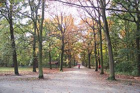 A Parc des Rossignols cikk illusztráló képe