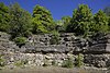 Natural monument semi-dry lawn u.  Weingarthalde quarry, identification 81150100007, ceiling Pfronn 02.jpg