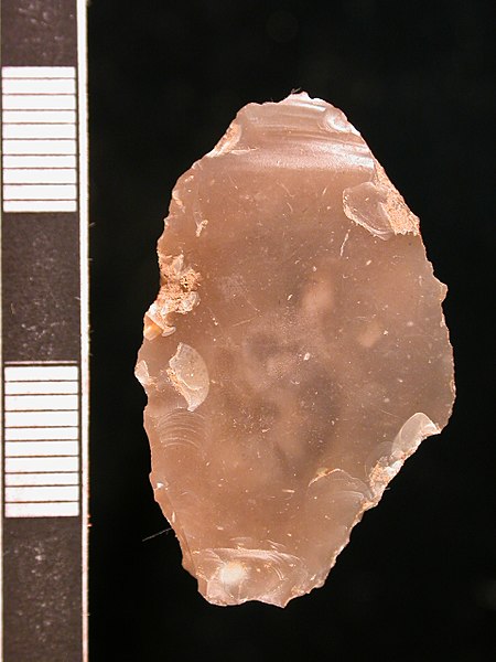 File:Neolithic leaf-shaped arrowhead (ventral) (FindID 179673).jpg