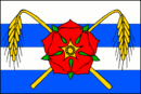 Flag af Neplachov