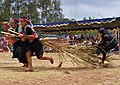 Nglarak blarak, un sport traditionnel de Kulonprogo