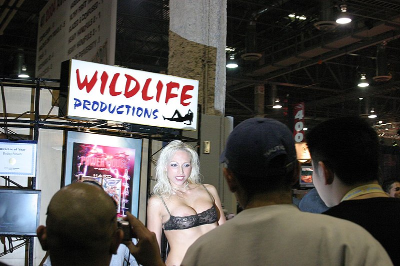 File:Nicki Hunter at AVN Adult Entertainment Expo 2004.jpg