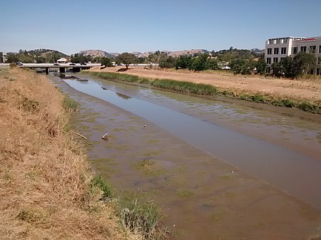 Novato Creek 5