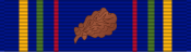 Ribbon with oak leaf cluster Nuclear Deterrence Operations Service Medal ribbon, 2nd award.svg