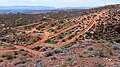 Off-road vehicle damage in SW Utah.