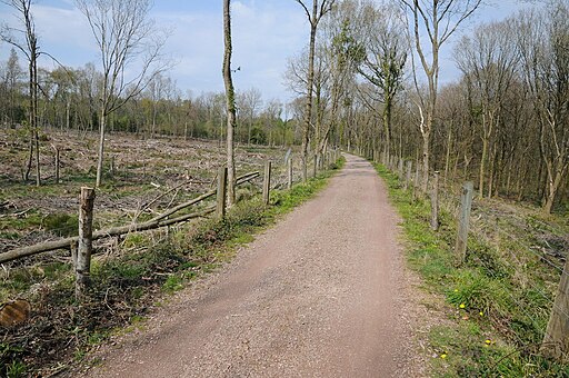 Old railway trackbed - geograph.org.uk - 3954600