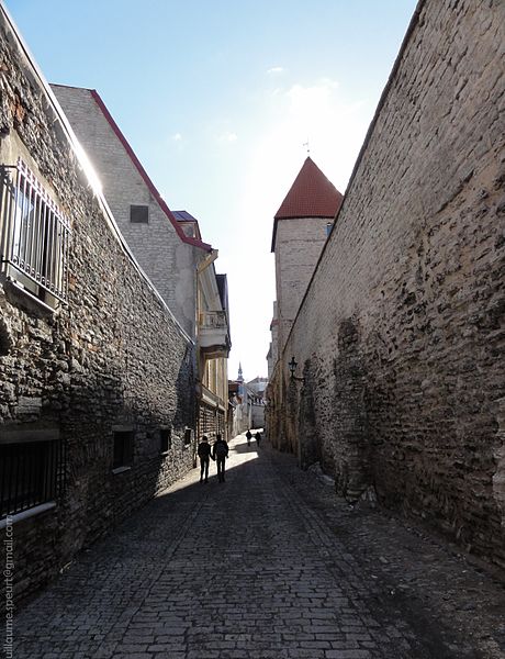 File:Old street arround Tallinn (7954471802).jpg