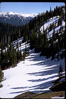 Olympic National Park OLYM3085.jpg