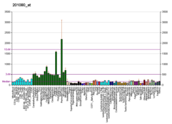 PBB GE PIP5K2B 201080 در fs.png