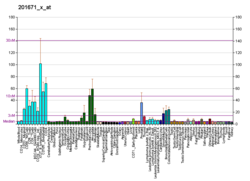 PBB GE USP14 201671 x at fs.png