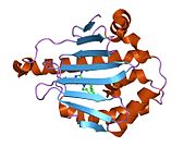 PDB 1uy7 EBI.jpg