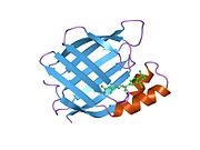 PDB 2cbs EBI.jpg