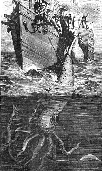 File:PSM V35 D674 Capture of a giant squid.jpg