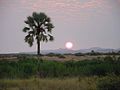 Palmwag Sunset - panoramio.jpg