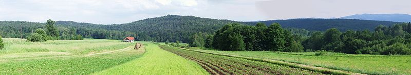 Paprotna, widok z Muchówki. W prawym górnym rogu w oddali widoczne jest Łopusze