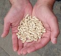 wood_pellets (They are very small compressed piece of wood. Often smaller then 1 or 2 centimeters.)