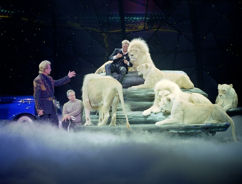 File:Performance by the illusionists Siegfried & Roy prior to Roy's nearly fatal mauling by one of the show's tigers onstage. Las Vegas, Nevada LCCN2011635782.tif