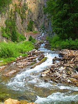 Swift Creek flowing out of the Intermittent Spring in Wyoming Periodic Spring (from the bottom).JPG